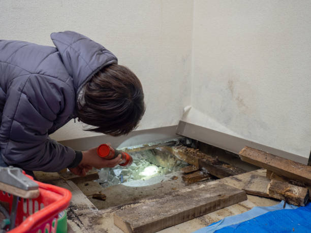 Best Dehumidification Services  in Wathena, KS