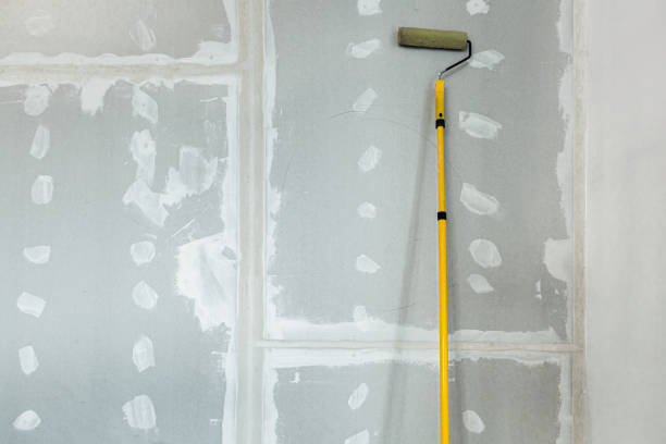 Best Water Damage & Mold Remediation  in Wathena, KS