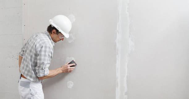 Best Mold Damage Restoration  in Wathena, KS