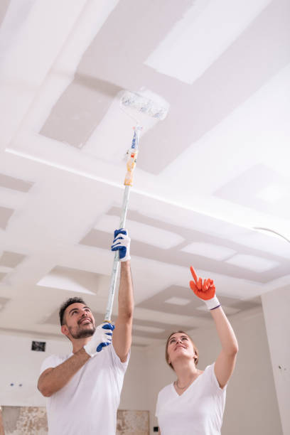 Best Water Damage & Mold Remediation  in Wathena, KS