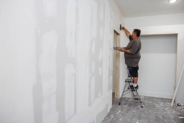  Wathena, KS Mold Removal Pros