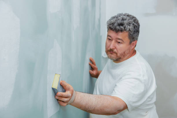 Best Commercial Mold Inspection  in Wathena, KS