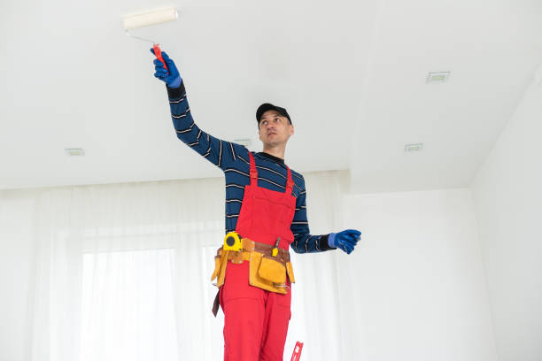 Best Mold Odor Removal Services  in Wathena, KS