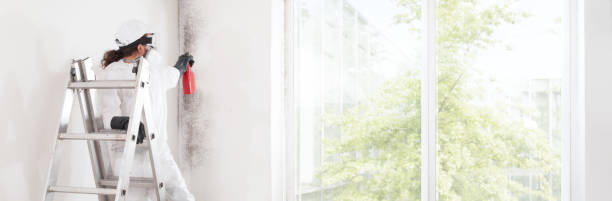 Best Environmental Consulting for Mold Prevention  in Wathena, KS