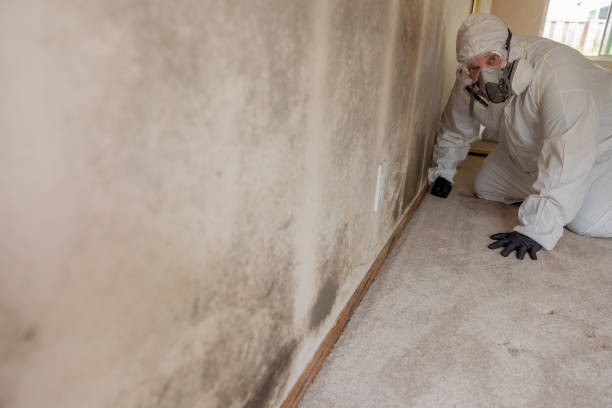 Best Post-Remediation Verification Testing  in Wathena, KS