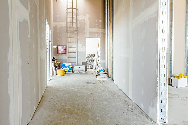 Wathena, KS Mold Removal Company
