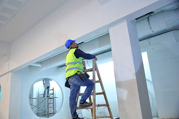 Mold Odor Removal Services in Wathena, KS